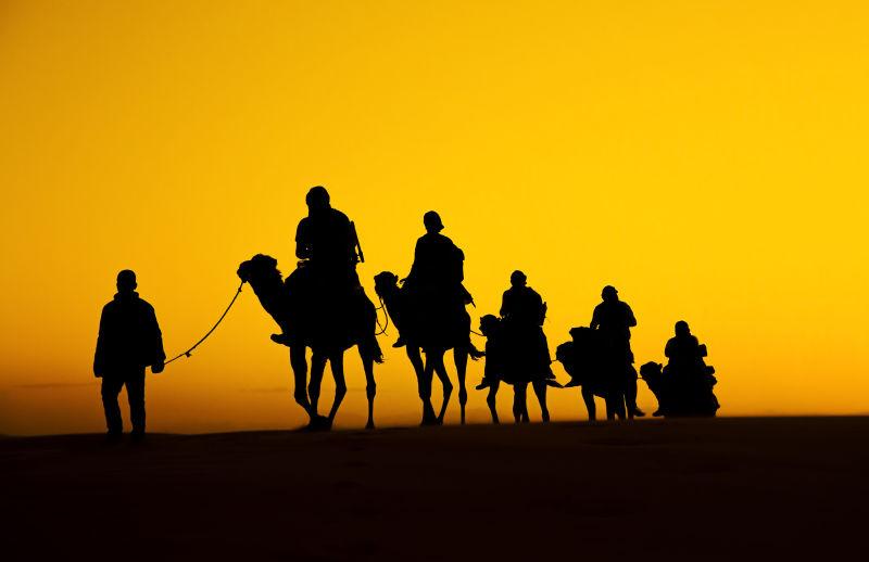 傍晚十分的骆驼商队
