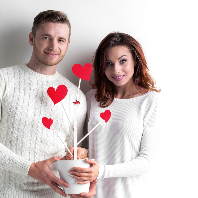 情侣树爱的成长