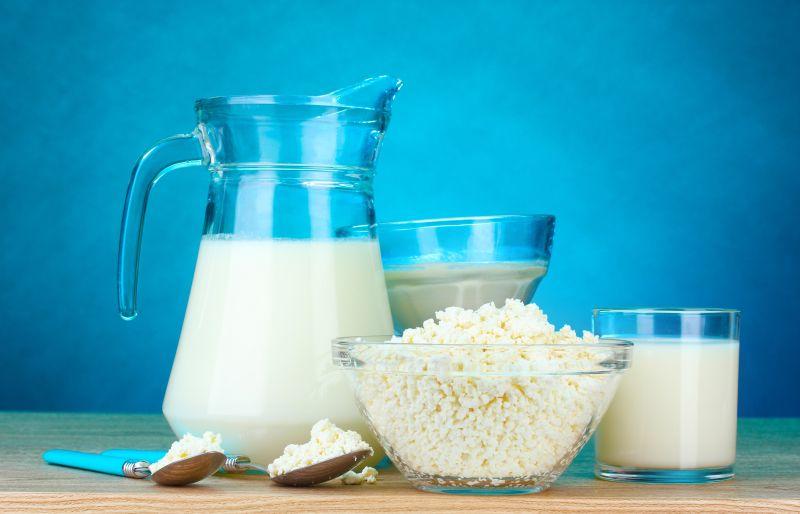 含有高蛋白的乳制品
