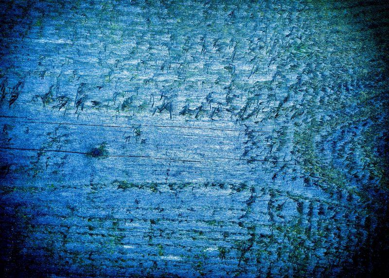蓝色的旧木板纹理背景
