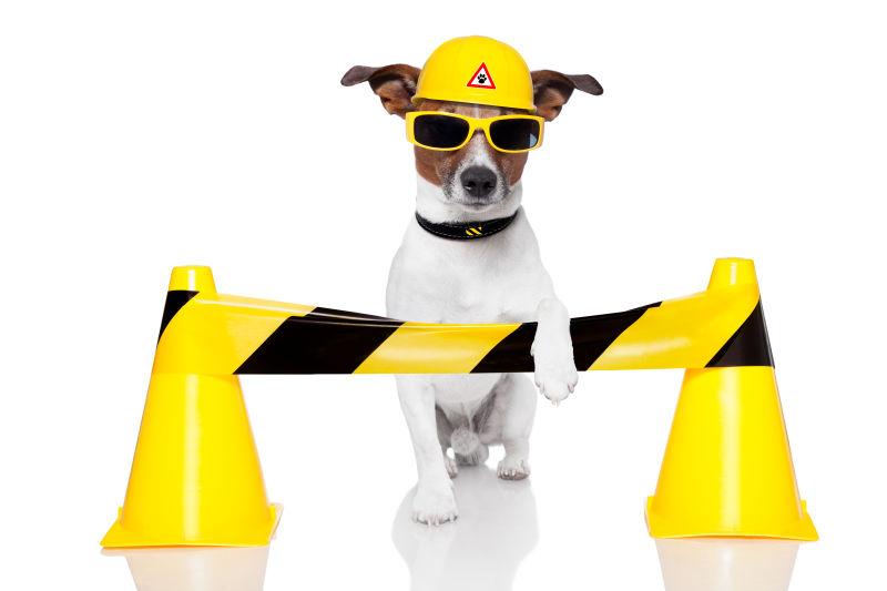 抱住路障的狗狗