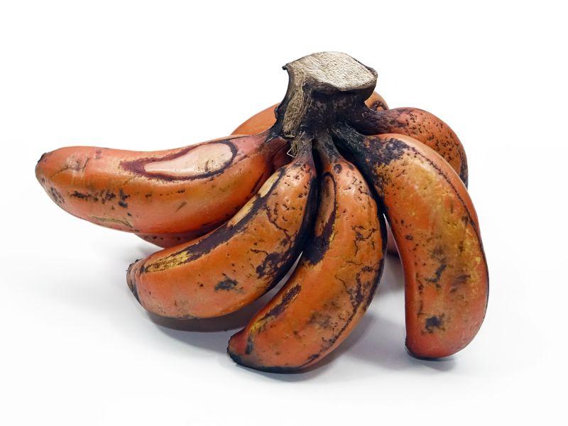 白色背景下的一串烂香蕉