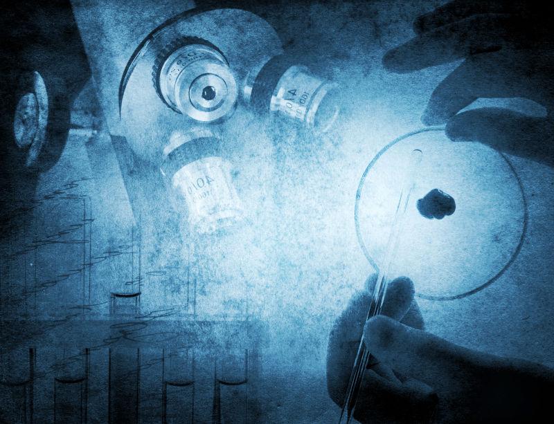 显微镜下下的微生物学