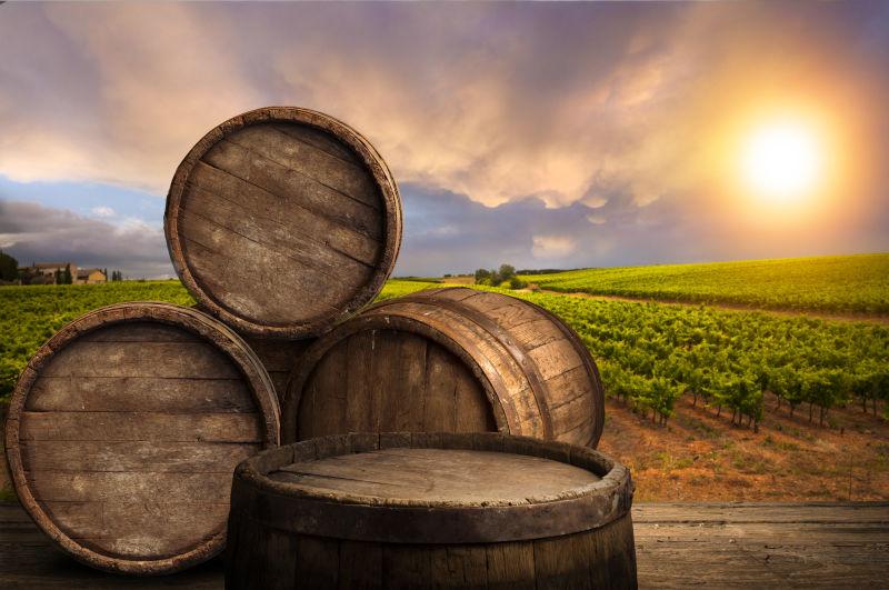 阳光下的绿色葡萄园背景的红酒桶