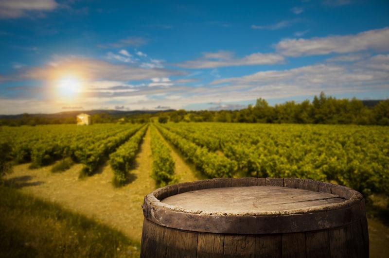 蓝天白云和阳光背景下的绿色葡萄园的红酒桶