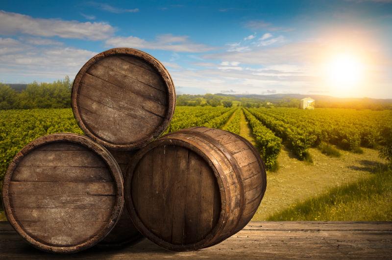 蓝天白云有阳光的绿色葡萄园木板上的红酒桶