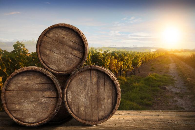 阳光照射的绿色葡萄园的红酒桶
