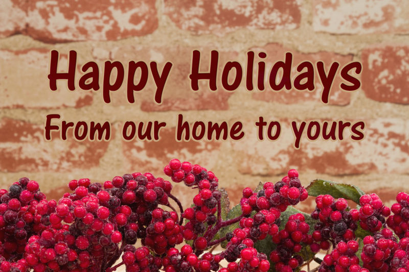 Frost在风化砖背景上覆盖红冬青浆果