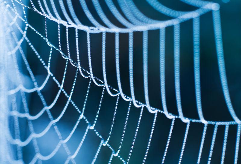 蓝色宏大的蜘蛛网