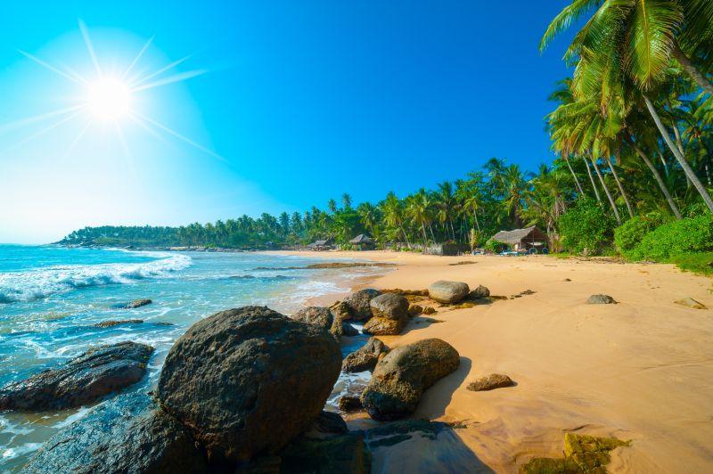 异国风情沙滩上的棕榈树