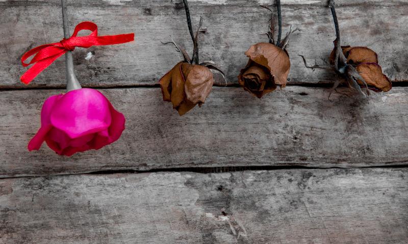 情人背景下的花爱情设计与装饰