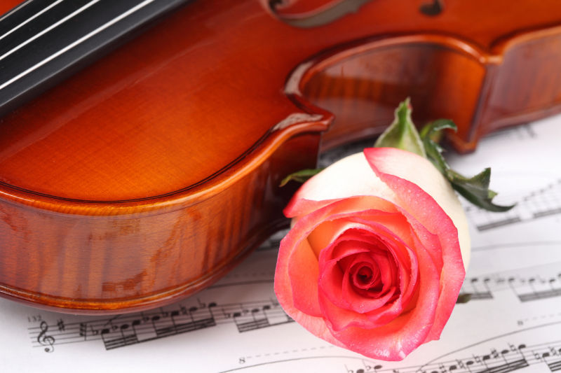 小提琴乐谱与玫瑰