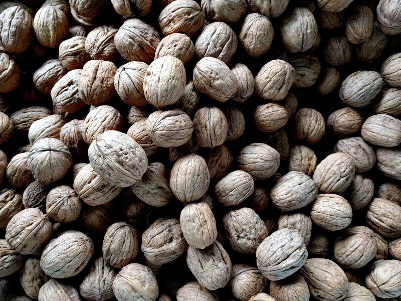 健康有机核桃