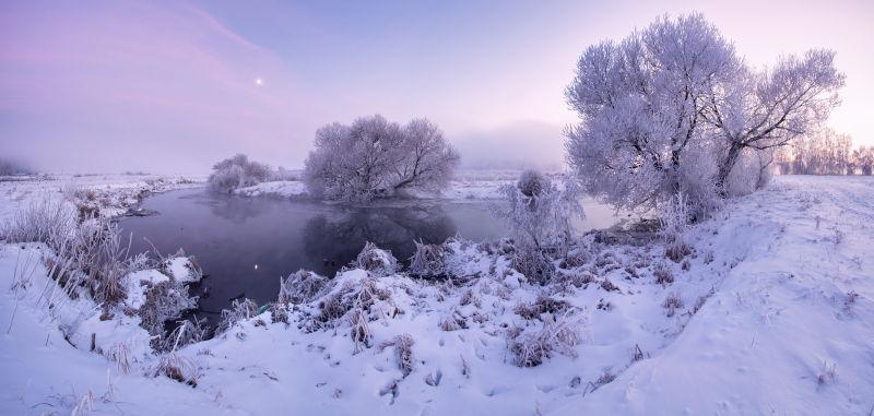 冬天的日出与霜草和树木