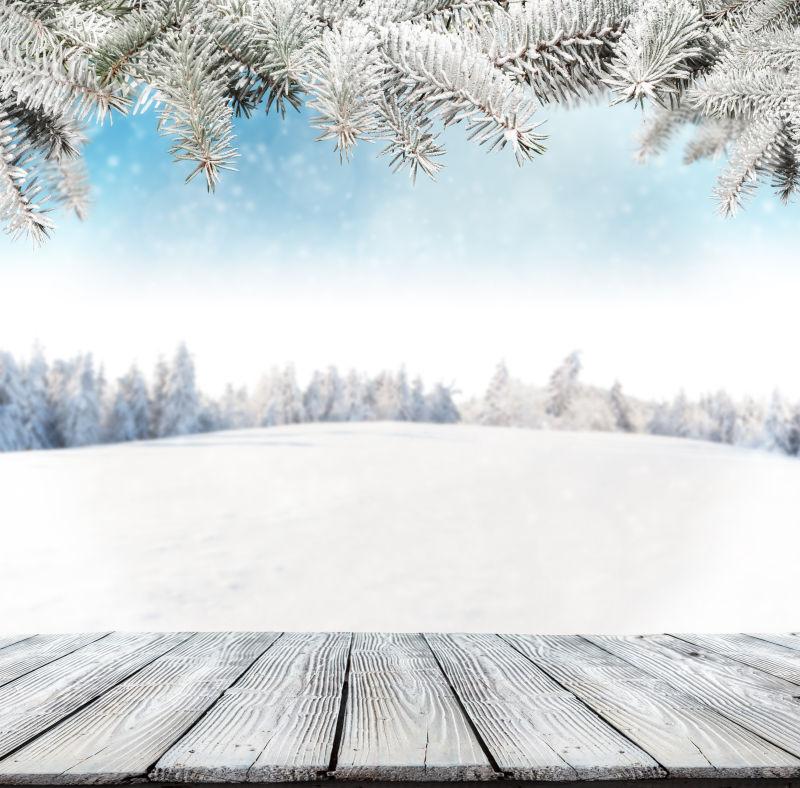 冬雪背景木板图片 冬雪背景木板与云杉树素材 高清图片 摄影照片 寻图免费打包下载