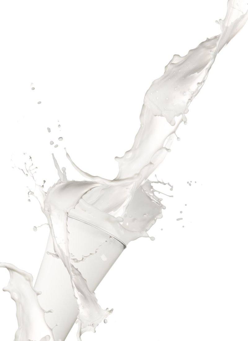 牛奶壁纸 白色图片