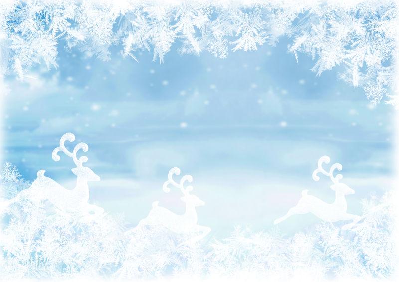 白雪覆盖的松林