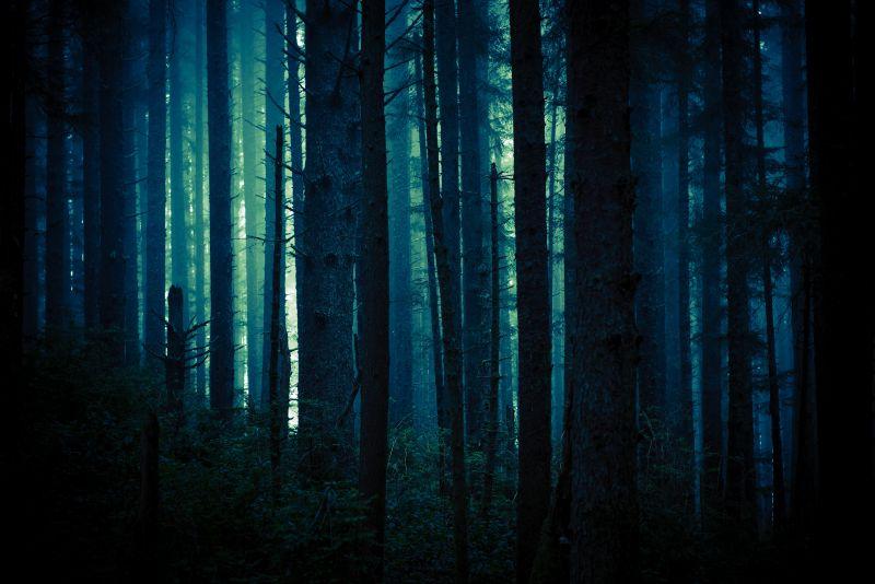 深蓝阴暗的森林
