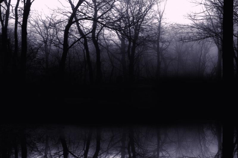 黑色森林背景图片 黑暗中的森林背景素材 高清图片 摄影照片 寻图免费打包下载
