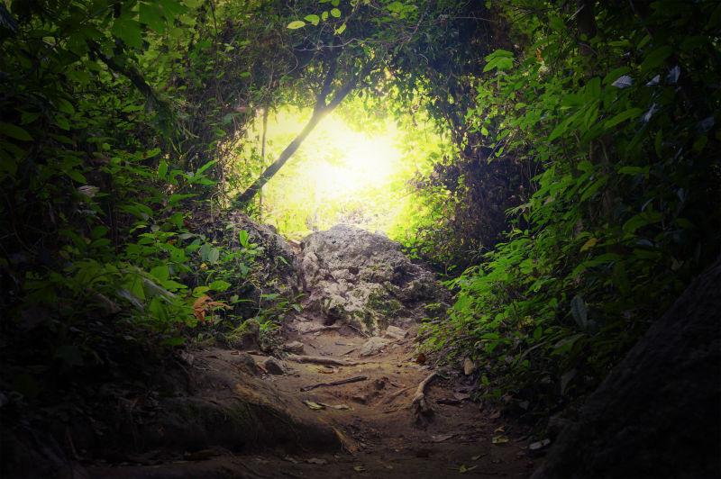 热带丛林中的天然隧道