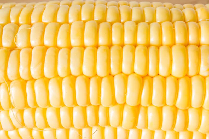 玉米背景