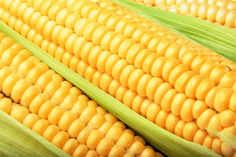 带绿叶的新鲜玉米