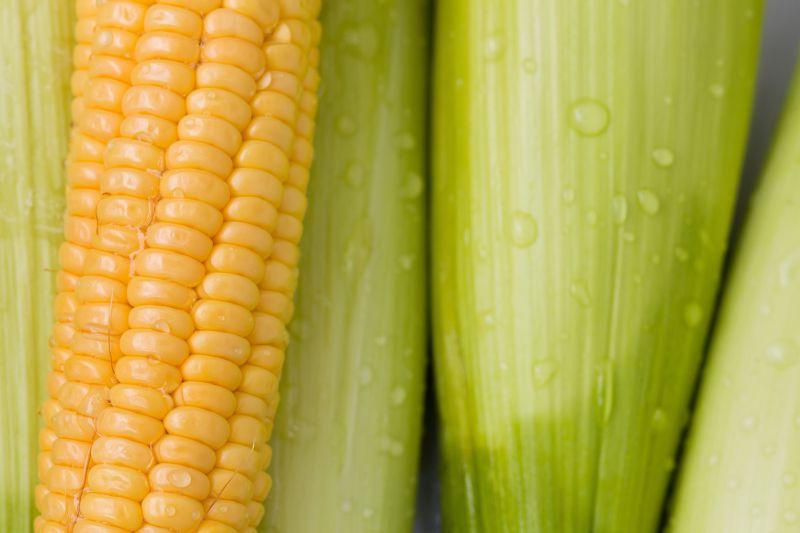 新摘的新鲜玉米