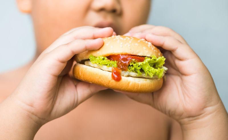 小男孩胖胖的小手里拿着鸡肉芝士汉堡