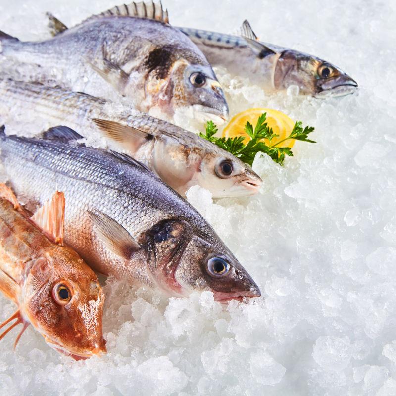 白色碎冰上的新鲜生鱼 