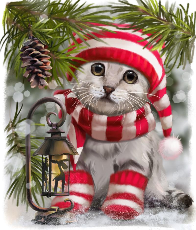 带着帽子和围巾的可爱猫咪