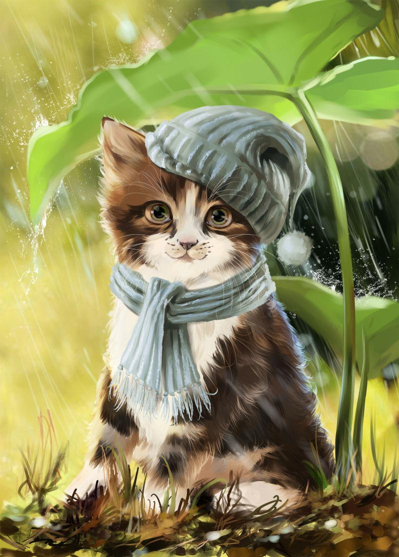 荷叶下躲雨的可爱小猫
