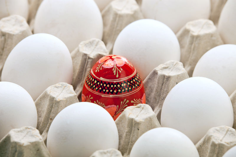 白色鸡蛋中的彩蛋