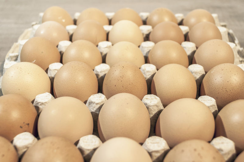 一整套鸡蛋