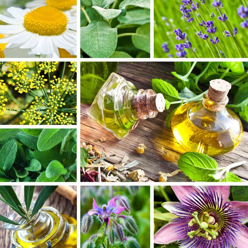 植物精油拼图图片 各种植物和植物精油的拼图素材 高清图片 摄影照片 寻图免费打包下载