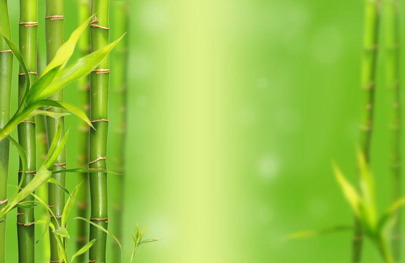 竹背景图片 绿色竹背景素材 高清图片 摄影照片 寻图免费打包下载
