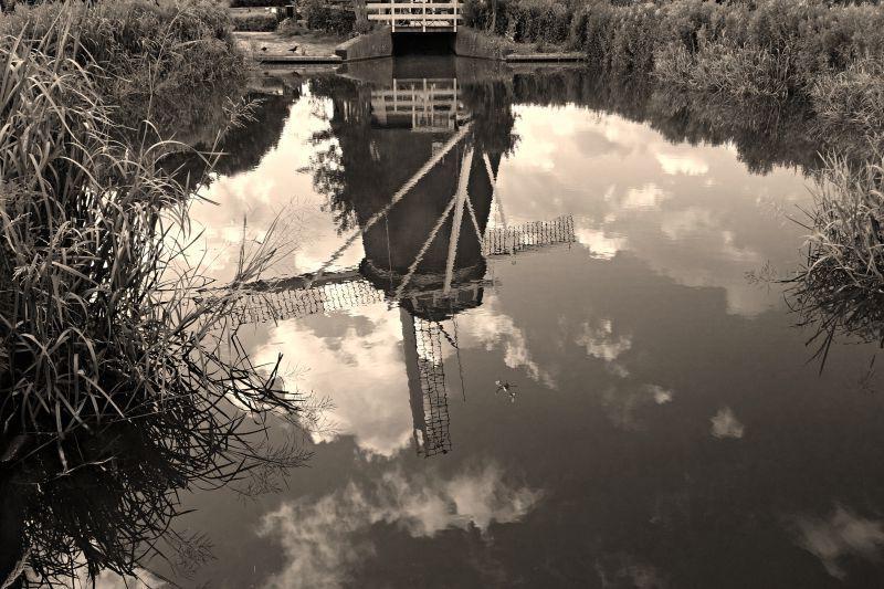 黑白背景中的水中倒影的风车