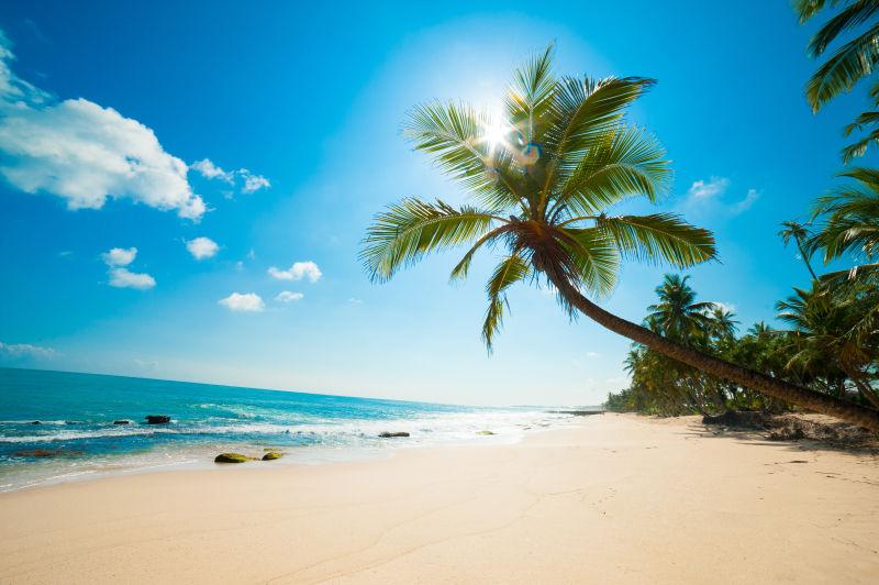 美丽的斯里兰卡热带海滩