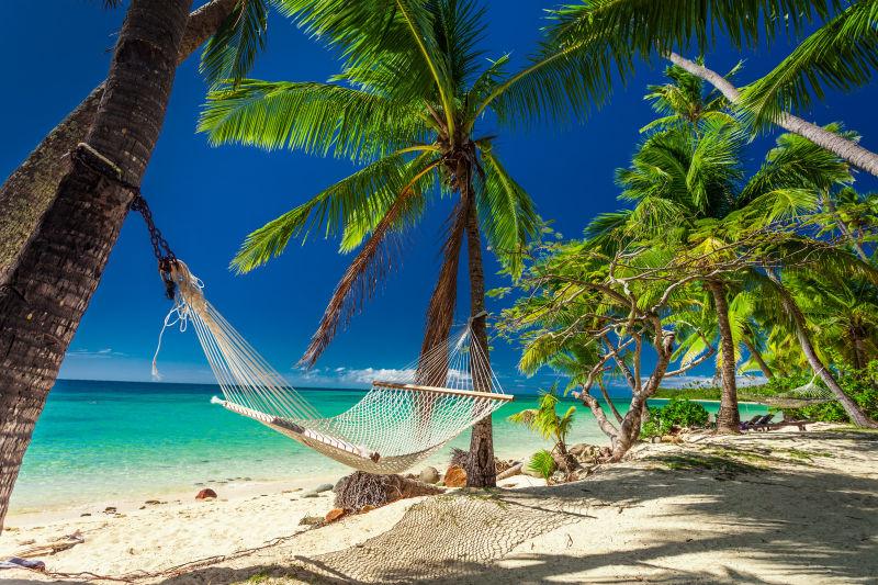 热带斐济群岛棕榈树树荫下的空吊床