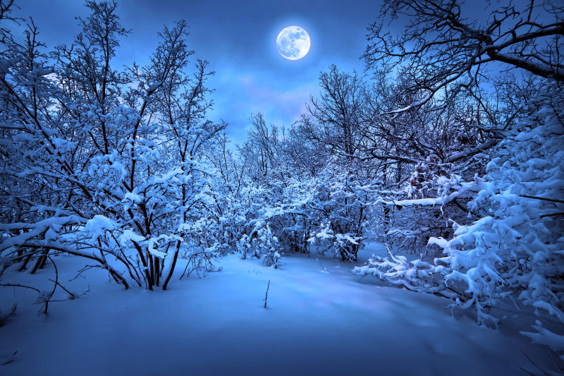 雪后的森林与月亮