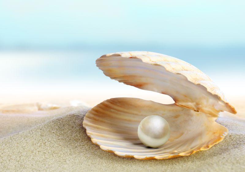 热带海滩上贝壳里的珍珠