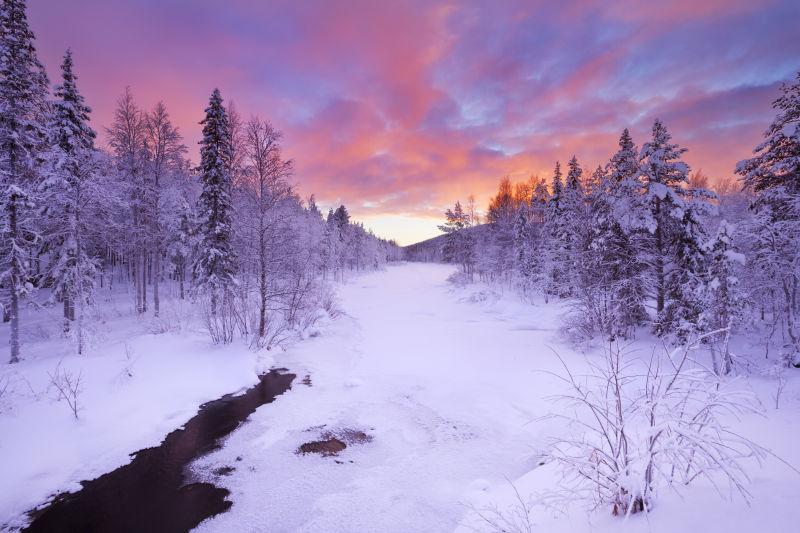 雪地森林里的河流景观