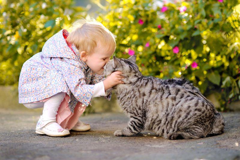 小女孩亲吻猫咪