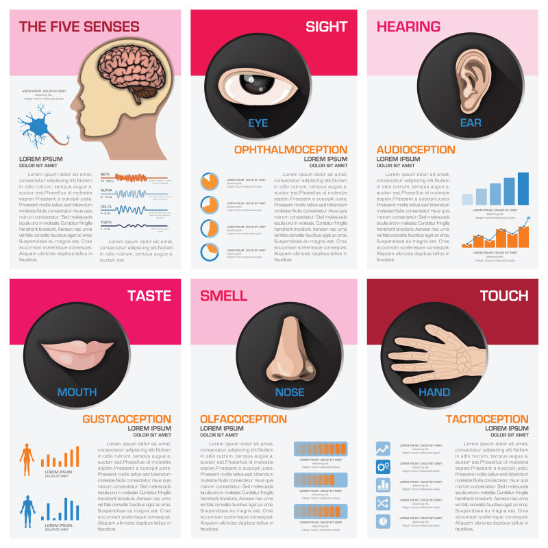 五感图表图形矢量信息图表设计