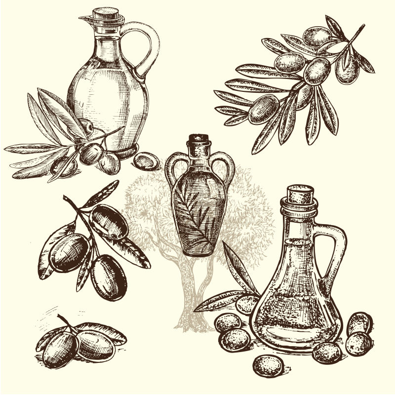 矢量的手绘橄榄