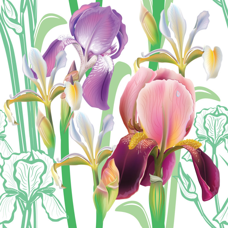 创矢量漂亮的手绘花卉插图背景