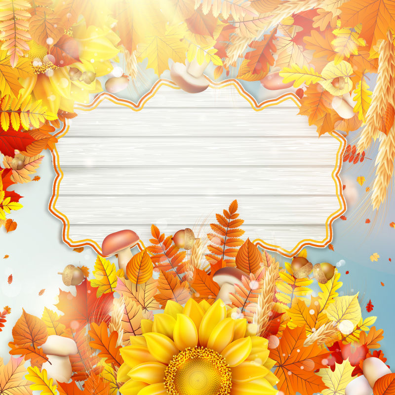 矢量秋季背景图片 华丽有秋叶和花的概念背景素材 高清图片 摄影照片 寻图免费打包下载