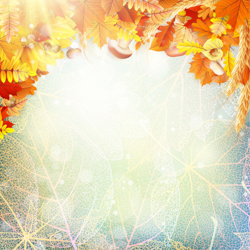 矢量光照下的秋叶概念背景