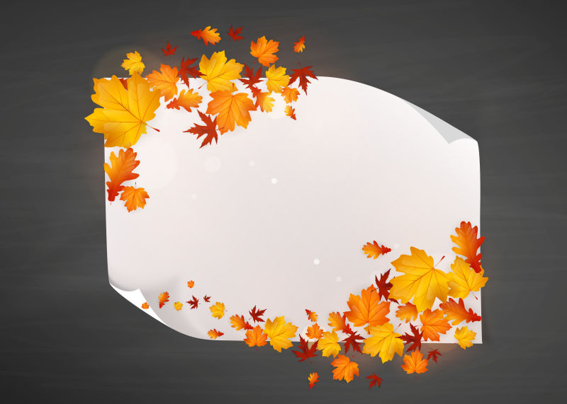 矢量的空白枫叶边框设计