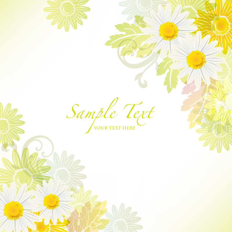 矢量的雏菊图案背景