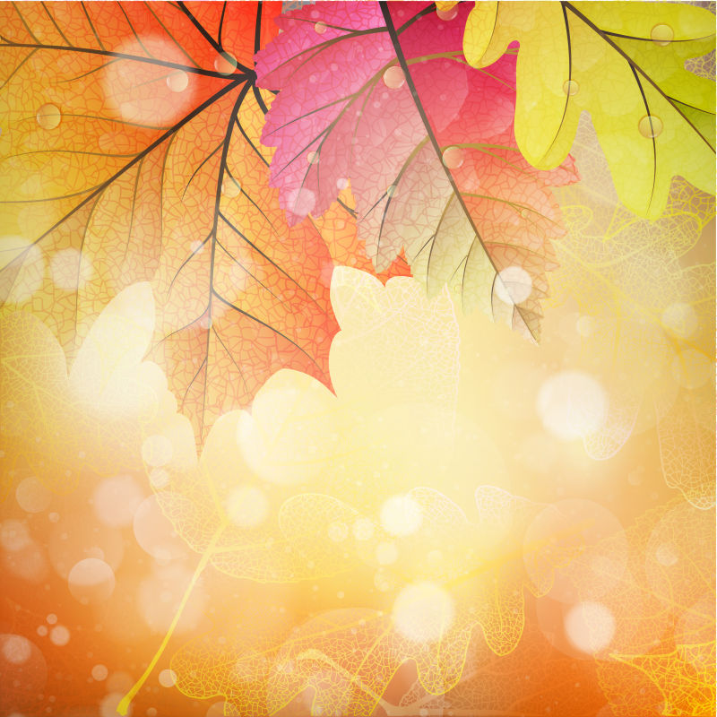 矢量秋季阳光图片 矢量创意阳光的秋叶背景素材 高清图片 摄影照片 寻图免费打包下载